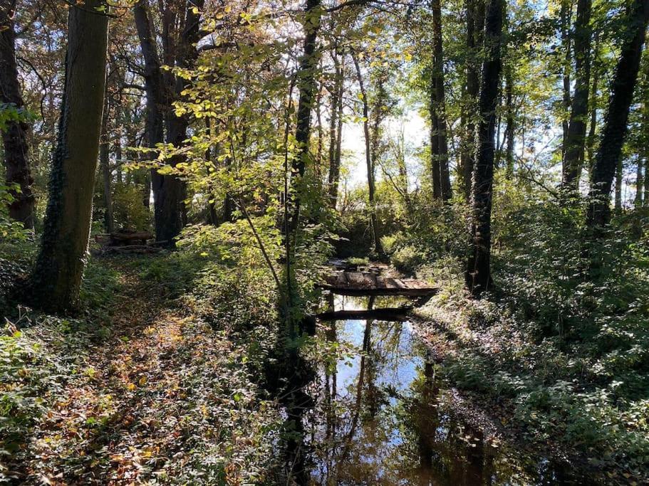 Wassermuehle Triglitz - Alleinlage Fuer Retreats, Workshops, Family & Friends Exterior photo